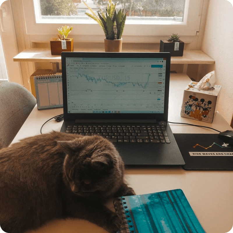 Instagram @trade_surfer のTradingViewチャート