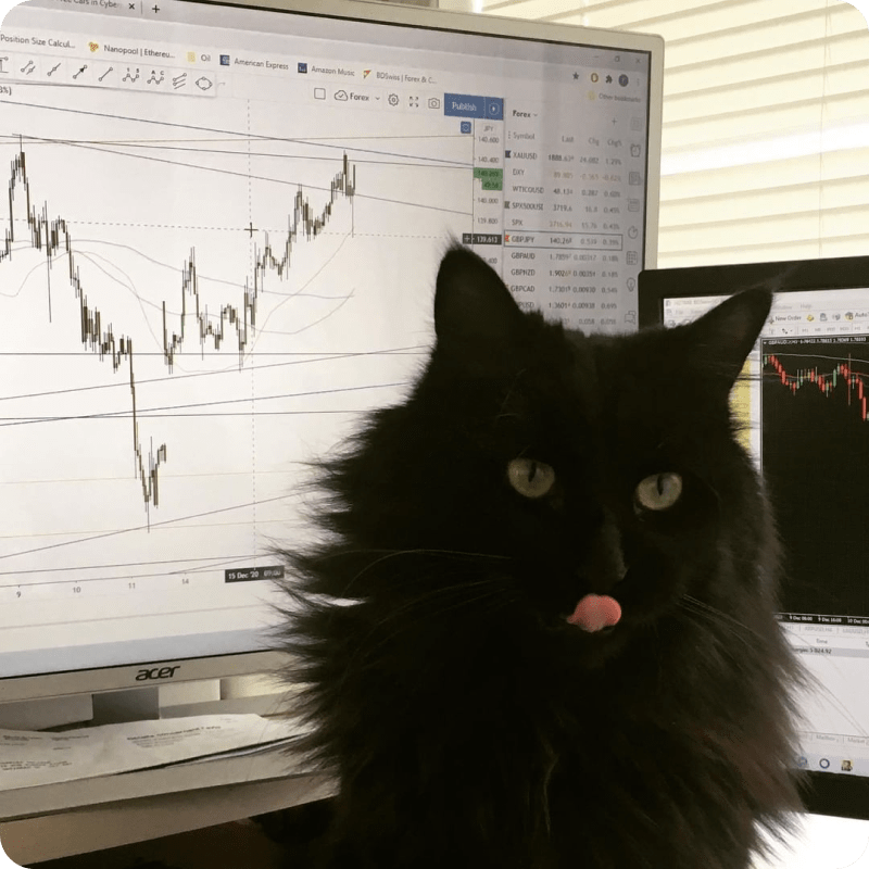 Instagram @chuckindex のTradingViewチャート