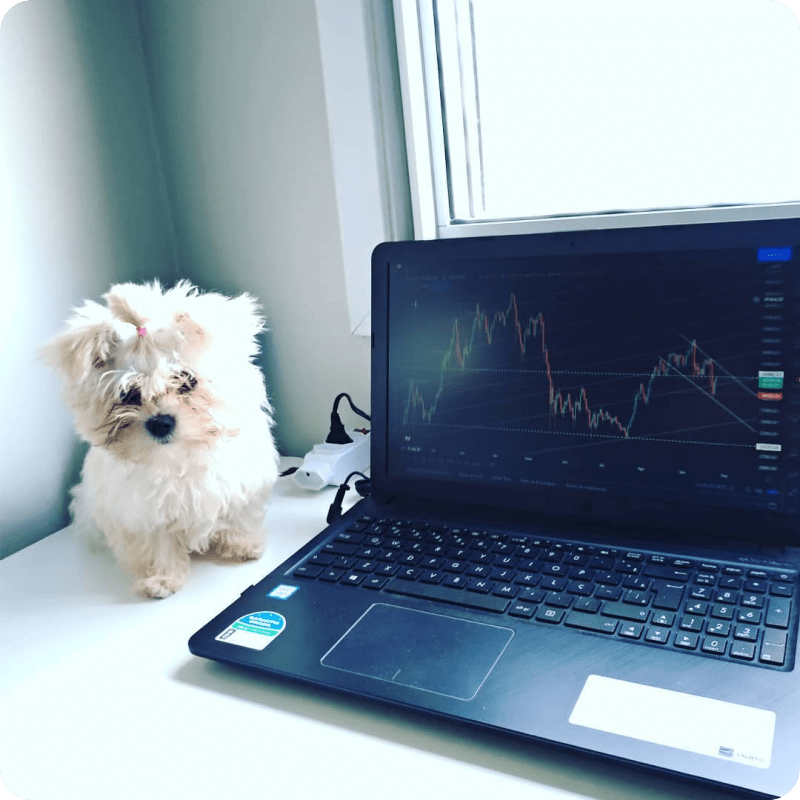 Instagram @ocasalinveste のTradingViewチャート